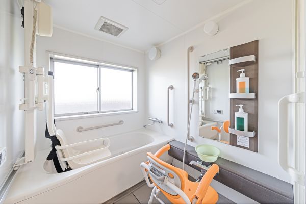 Senior Bathroom Renovation in Sylvania